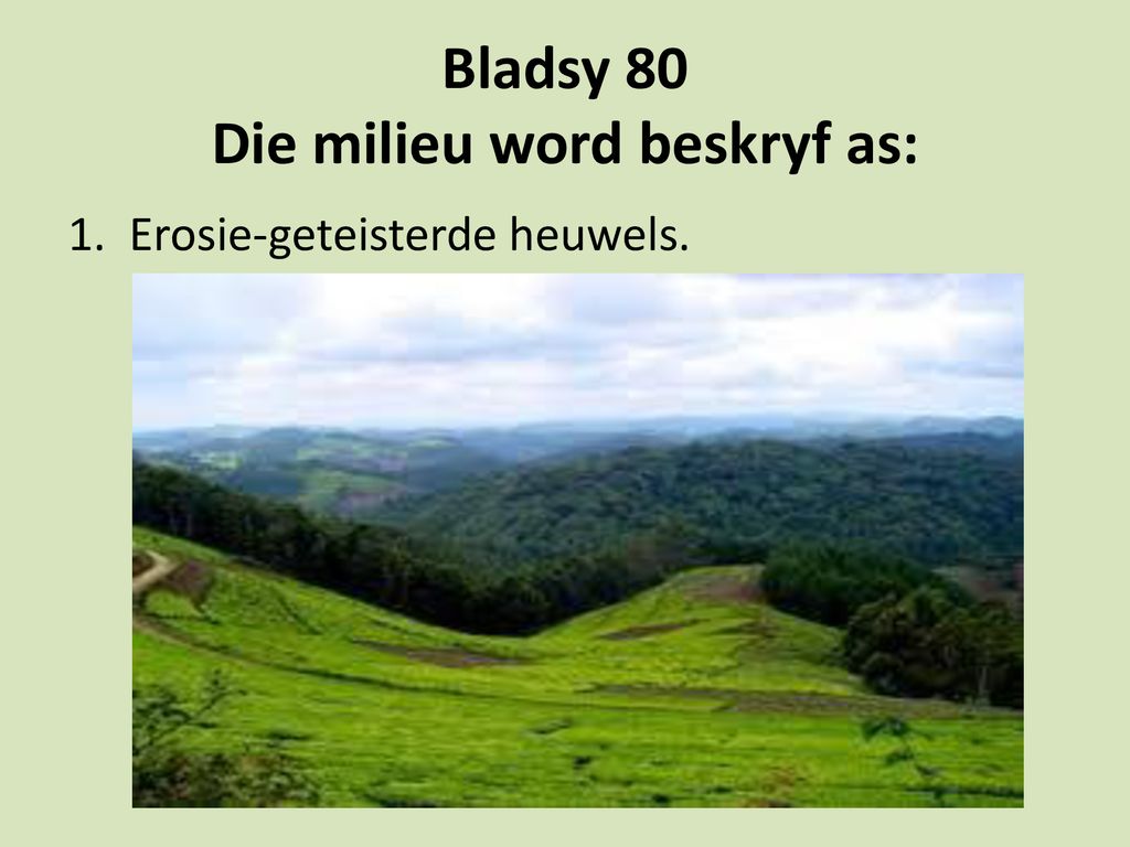 Bladsy 80 Die milieu word beskryf as: