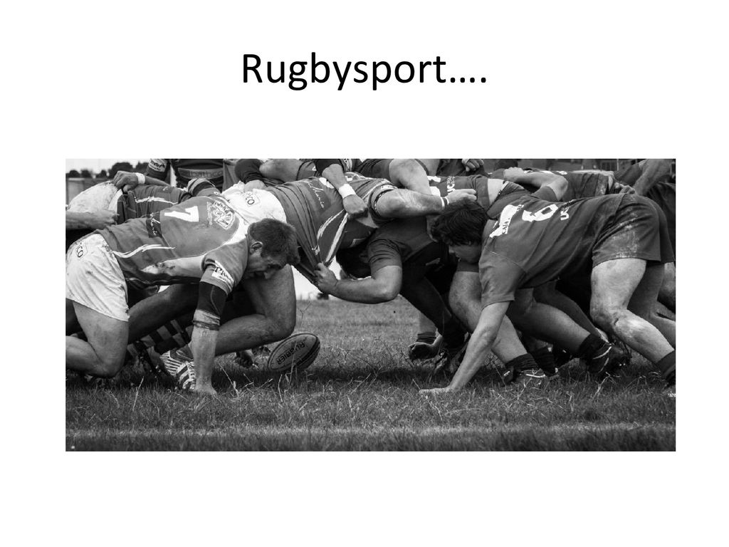 Rugbysport….