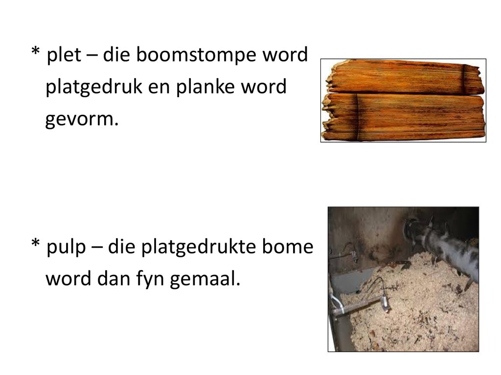 plet – die boomstompe word platgedruk en planke word gevorm