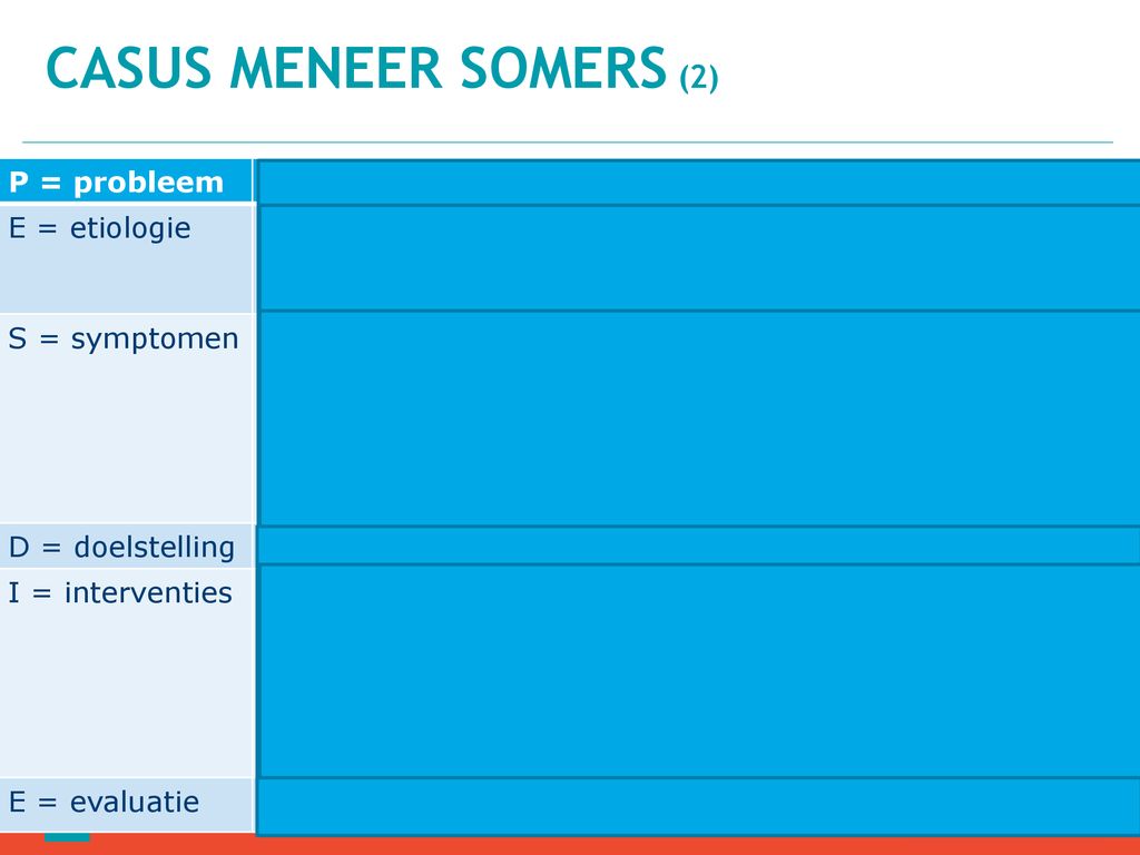 Casus Meneer Somers (2) P = probleem