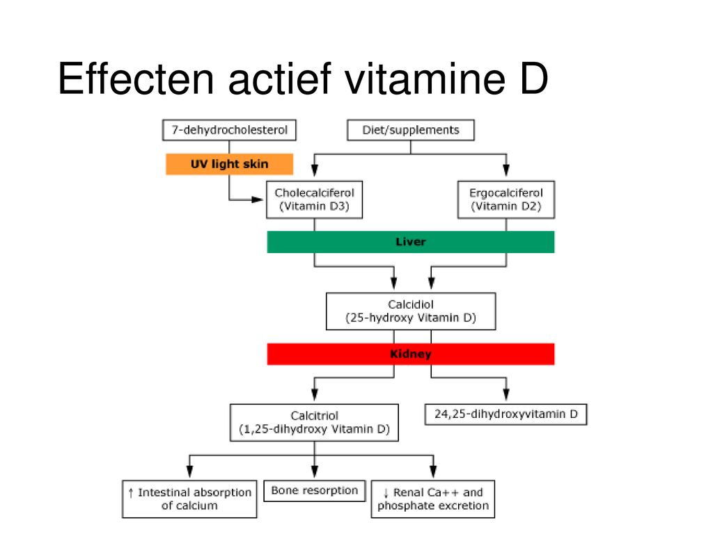 lijden Verleiden shuttle Het vitamine D deficiëntie syndroom - ppt download