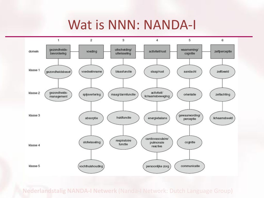 Wat is NNN: NANDA-I Nederlandstalig NANDA-I Netwerk (Nanda-I Network: Dutch Language Group)