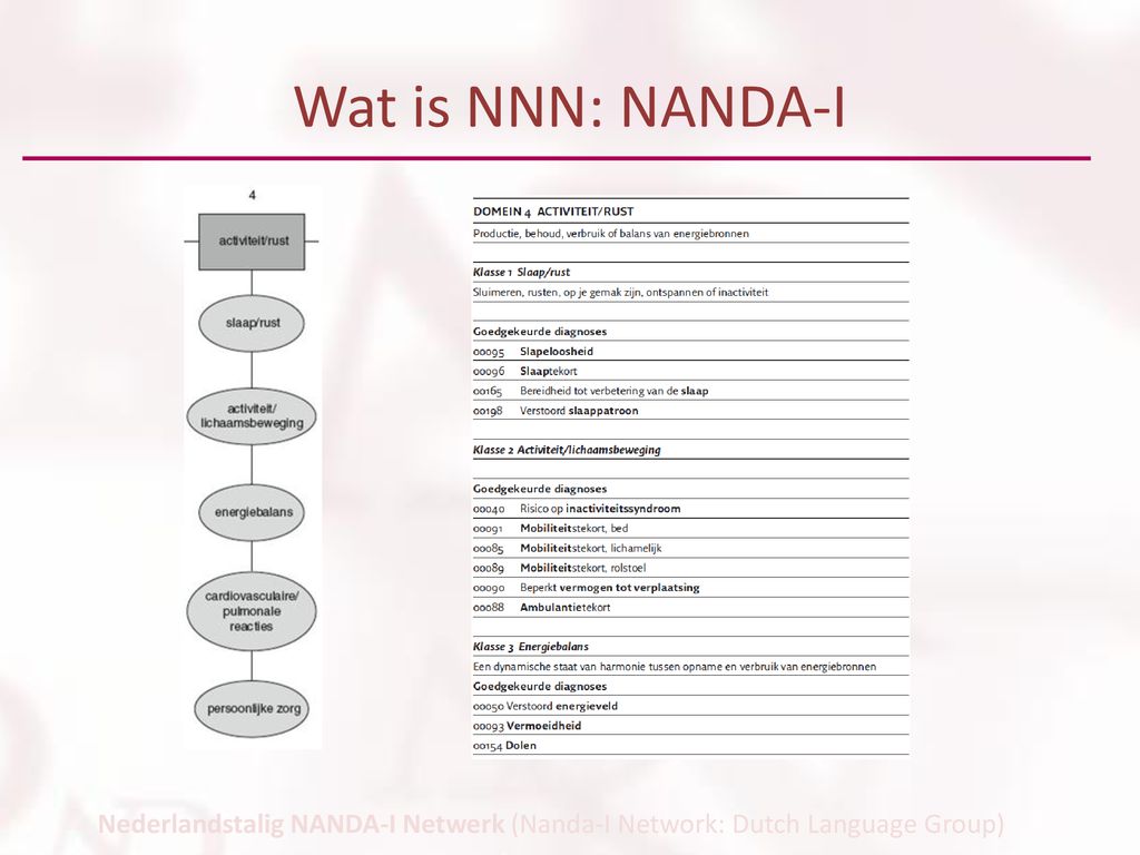 Wat is NNN: NANDA-I Nederlandstalig NANDA-I Netwerk (Nanda-I Network: Dutch Language Group)