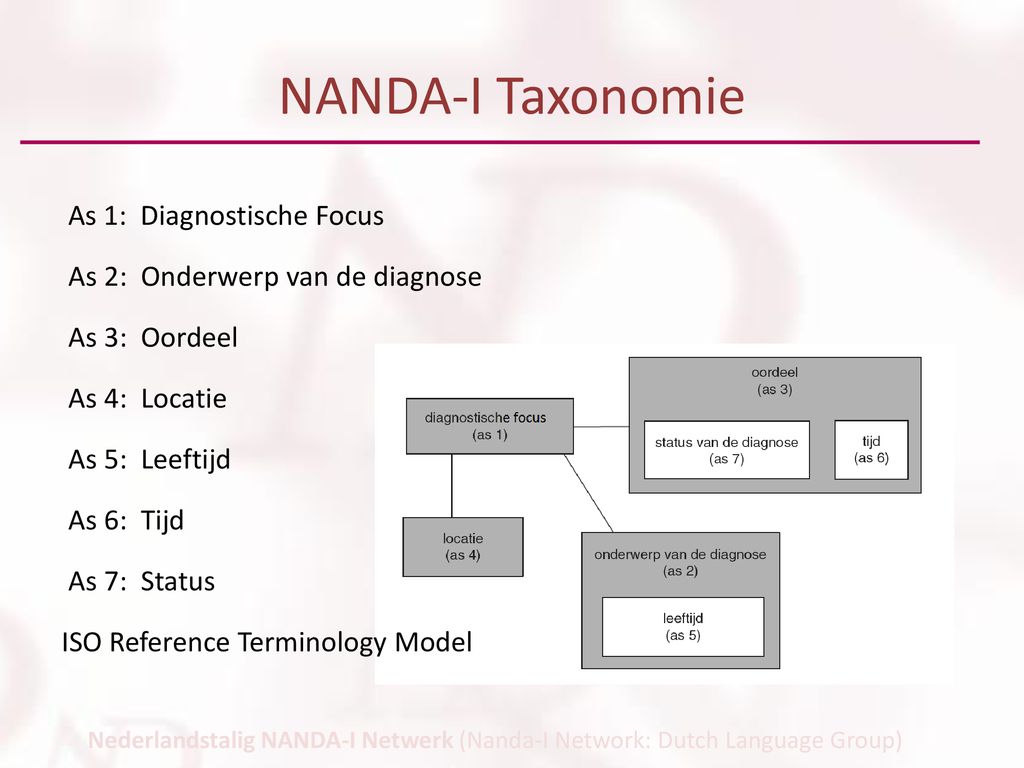 NANDA-I Taxonomie As 1: Diagnostische Focus