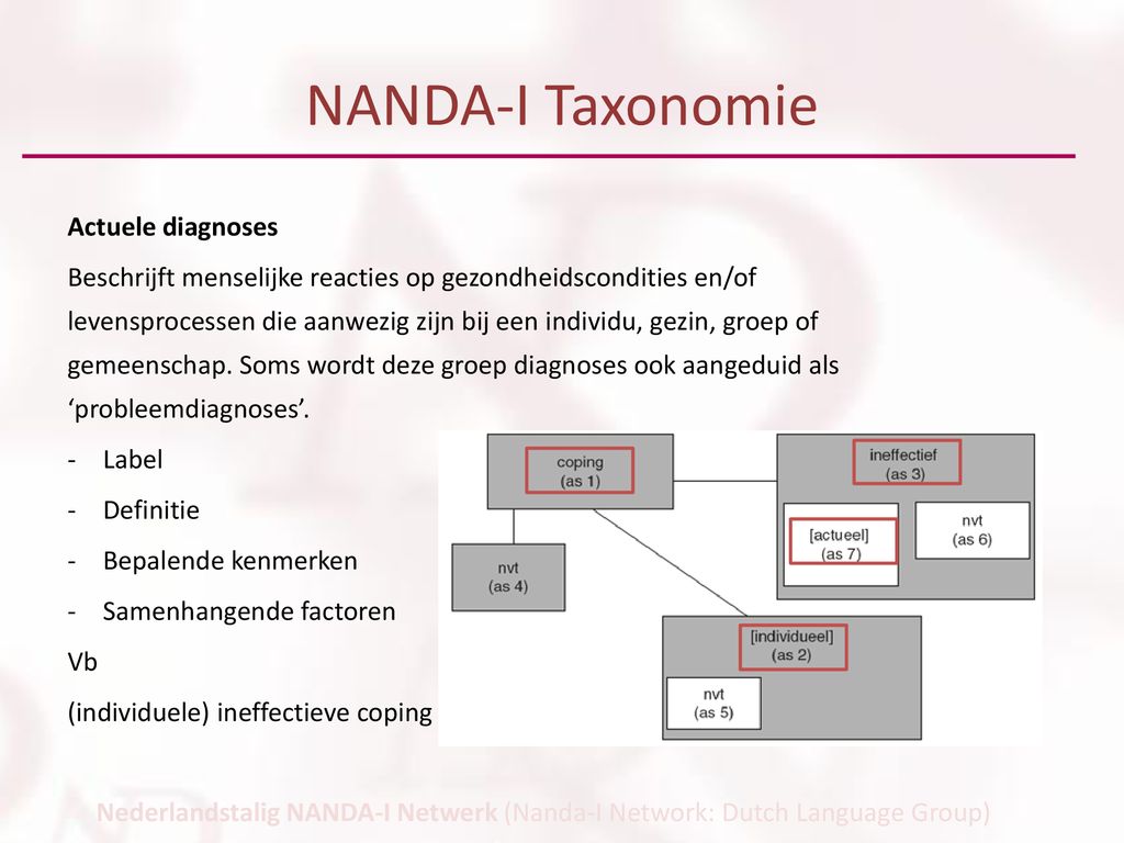 NANDA-I Taxonomie Actuele diagnoses