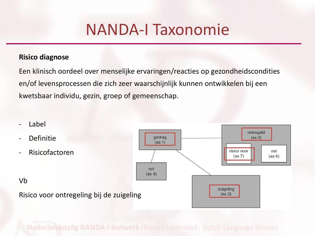 NANDA-I Taxonomie Risico diagnose