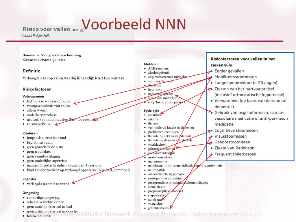 Voorbeeld NNN Nederlandstalig NANDA-I Netwerk (Nanda-I Network: Dutch Language Group)