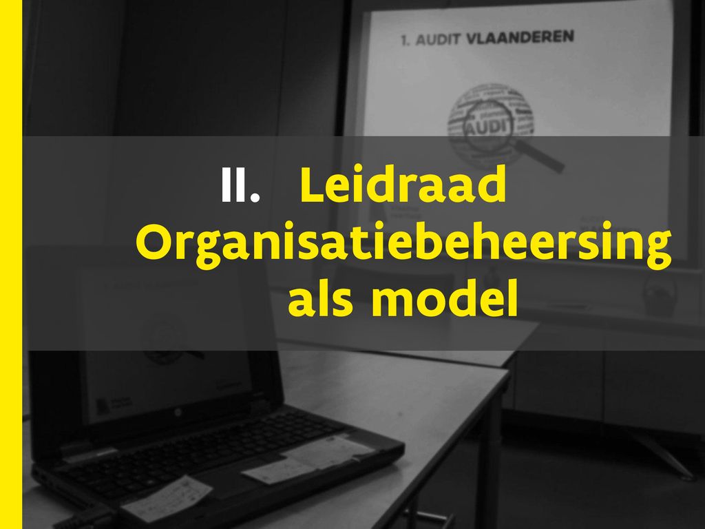 Leidraad Organisatiebeheersing als model