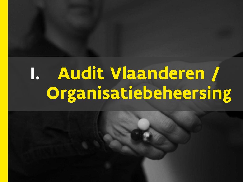 Audit Vlaanderen / Organisatiebeheersing