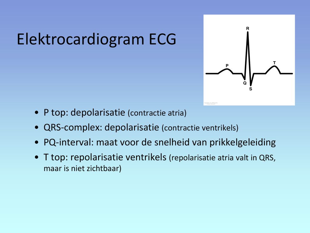 Elektrocardiogram ECG