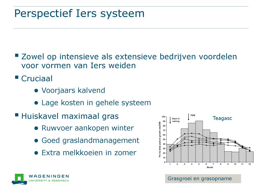 Perspectief Iers systeem
