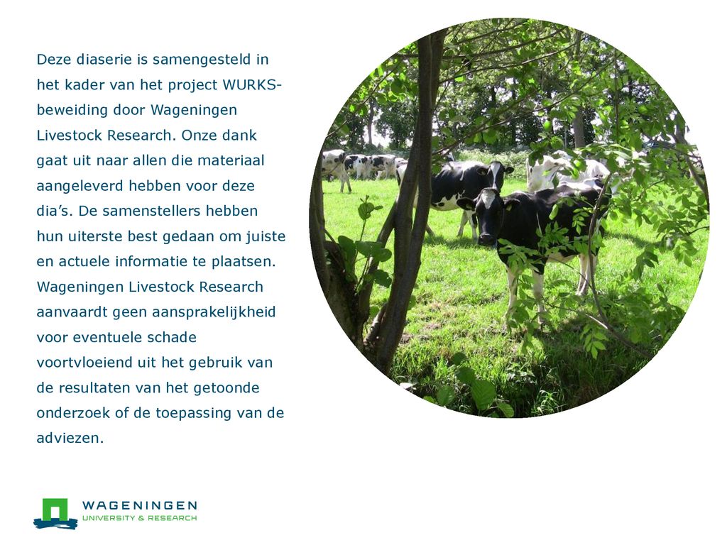 Deze diaserie is samengesteld in het kader van het project WURKS- beweiding door Wageningen Livestock Research.