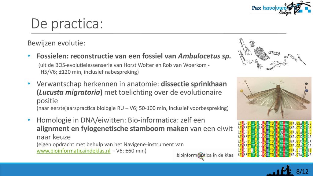 Evolutie-simulatiepractica in de bovenbouw - ppt download