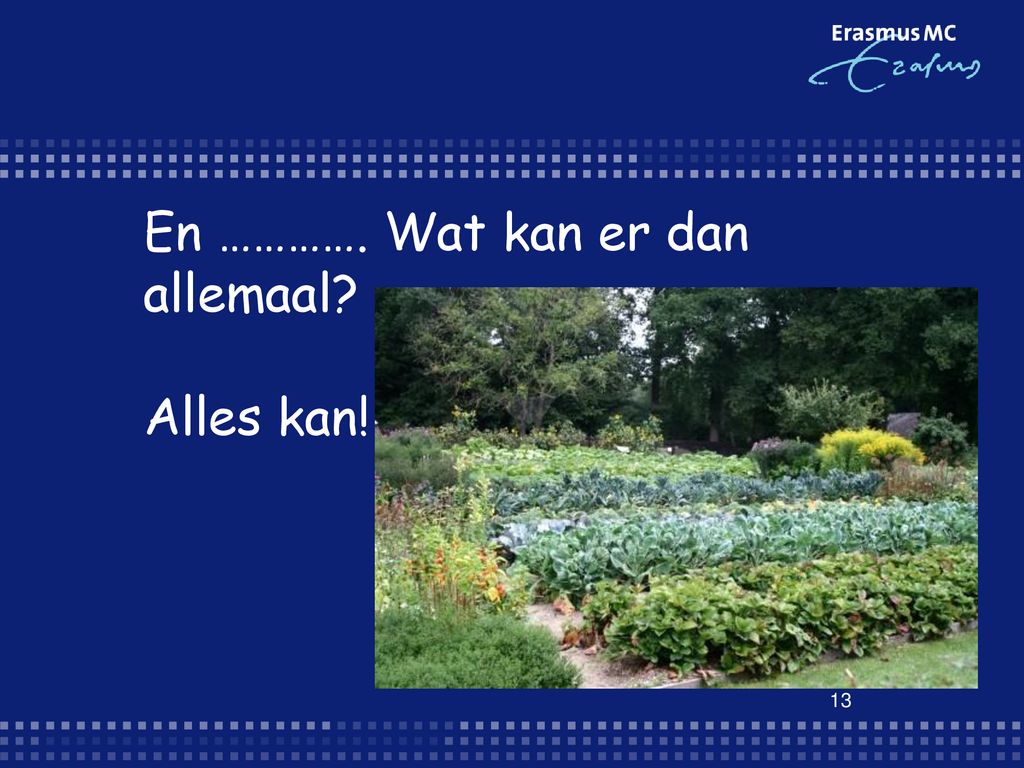 Waar Sta Ik Eigenlijk Voor? - Ppt Download