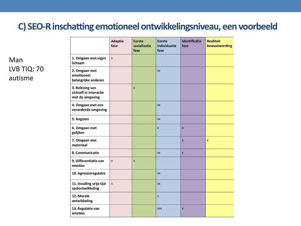 C) SEO-R inschatting emotioneel ontwikkelingsniveau, een voorbeeld