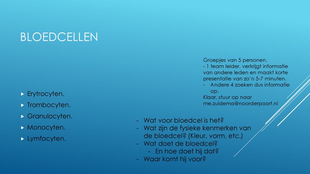 Bloed En Bloedstolling Ppt Download