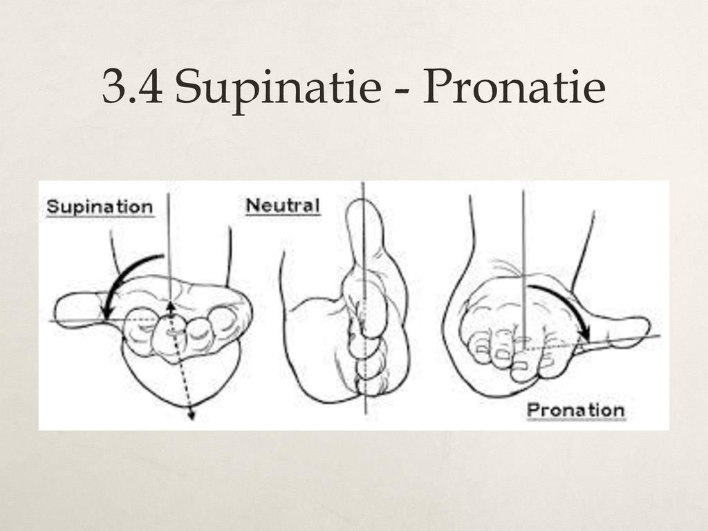 3.4 Supinatie - Pronatie