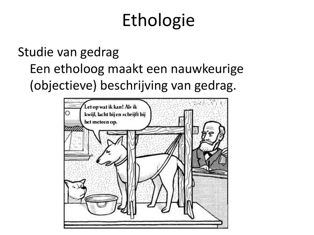 Ethologie Studie van gedrag Een etholoog maakt een nauwkeurige (objectieve) beschrijving van gedrag.
