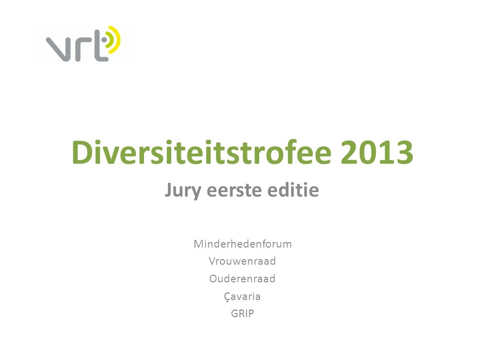 Diversiteitstrofee 2013 Jury eerste editie Minderhedenforum