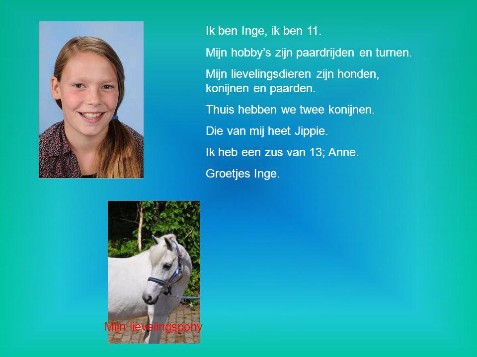 Ik ben Inge, ik ben 11. Mijn hobby’s zijn paardrijden en turnen. Mijn lievelingsdieren zijn honden, konijnen en paarden.