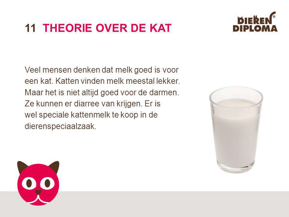 11 THEORIE OVER DE KAT Veel mensen denken dat melk goed is voor