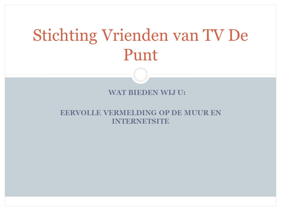 Stichting Vrienden van TV De Punt