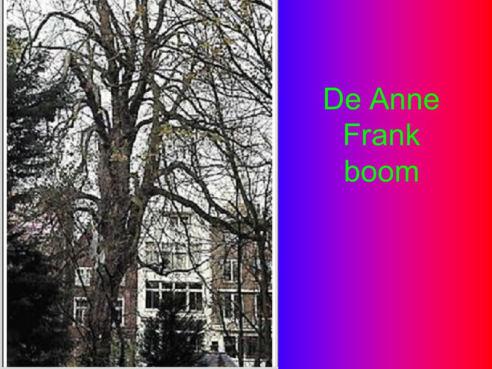 De Anne Frank boom