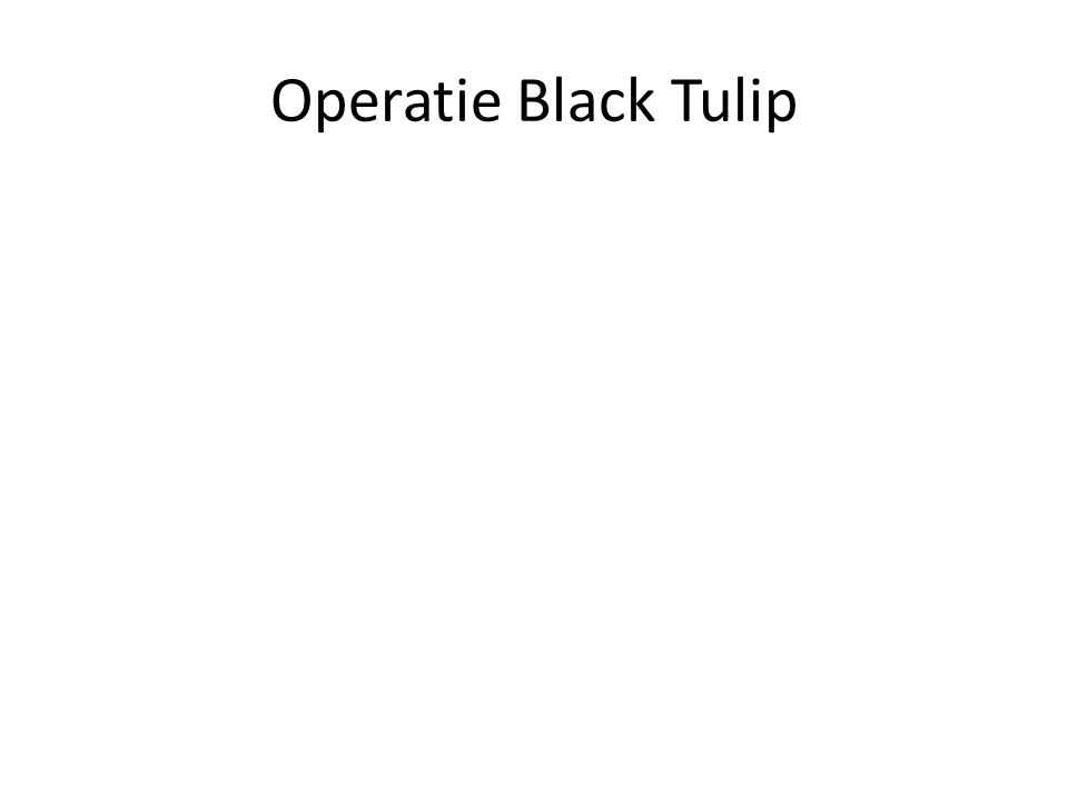 Operatie Black Tulip