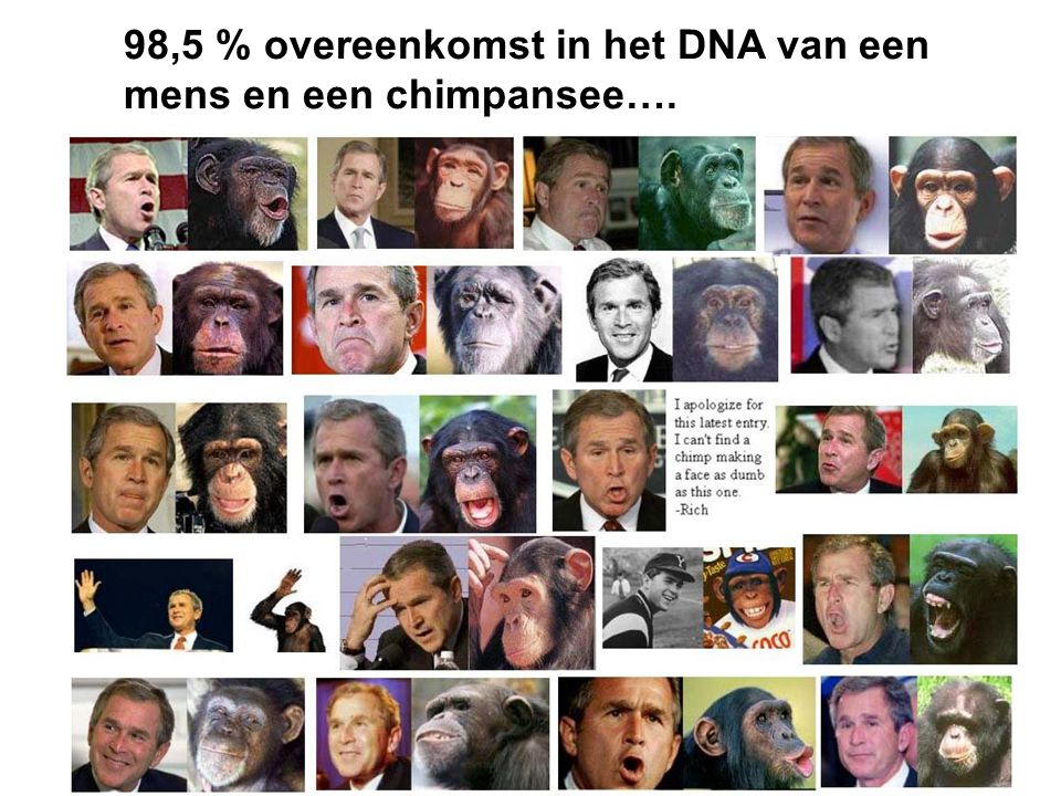 98,5 % overeenkomst in het DNA van een mens en een chimpansee….