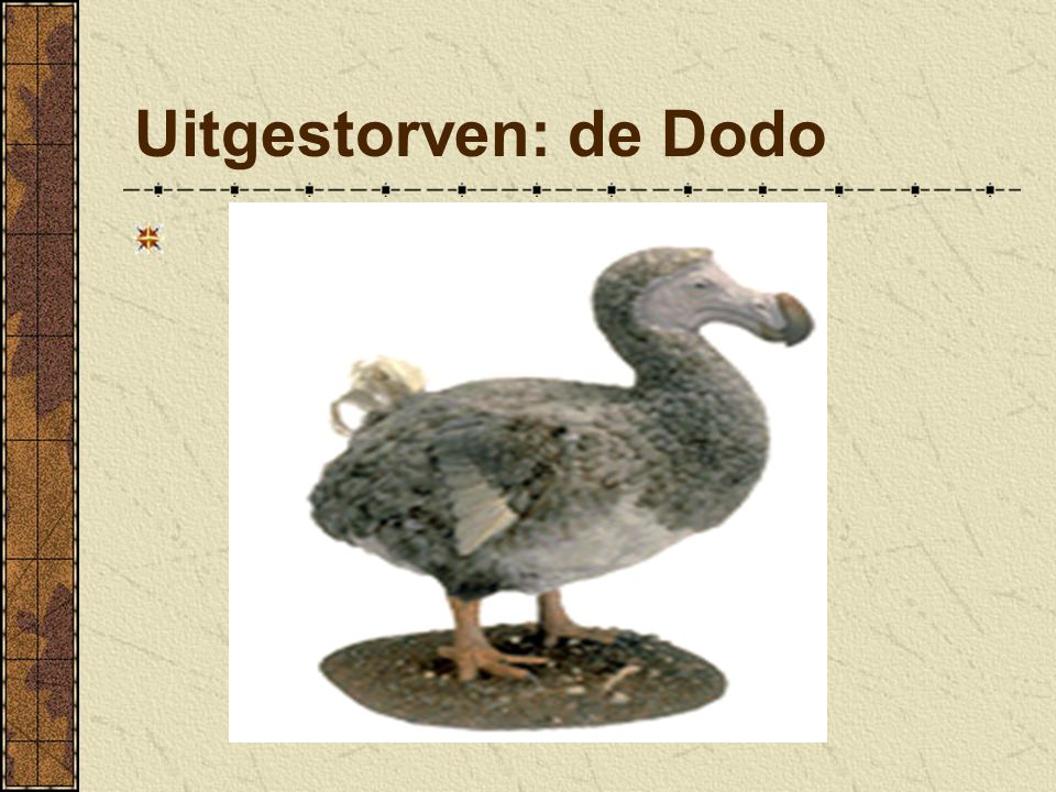 Uitgestorven: de Dodo Zonder bescherming sterven dieren uit.