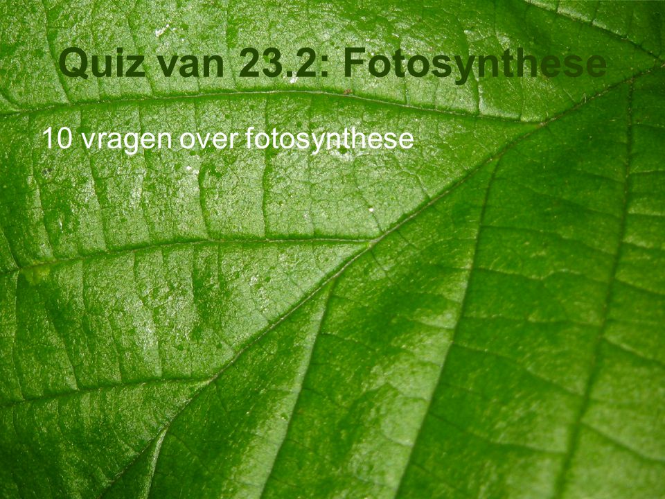 Quiz van 23.2: Fotosynthese