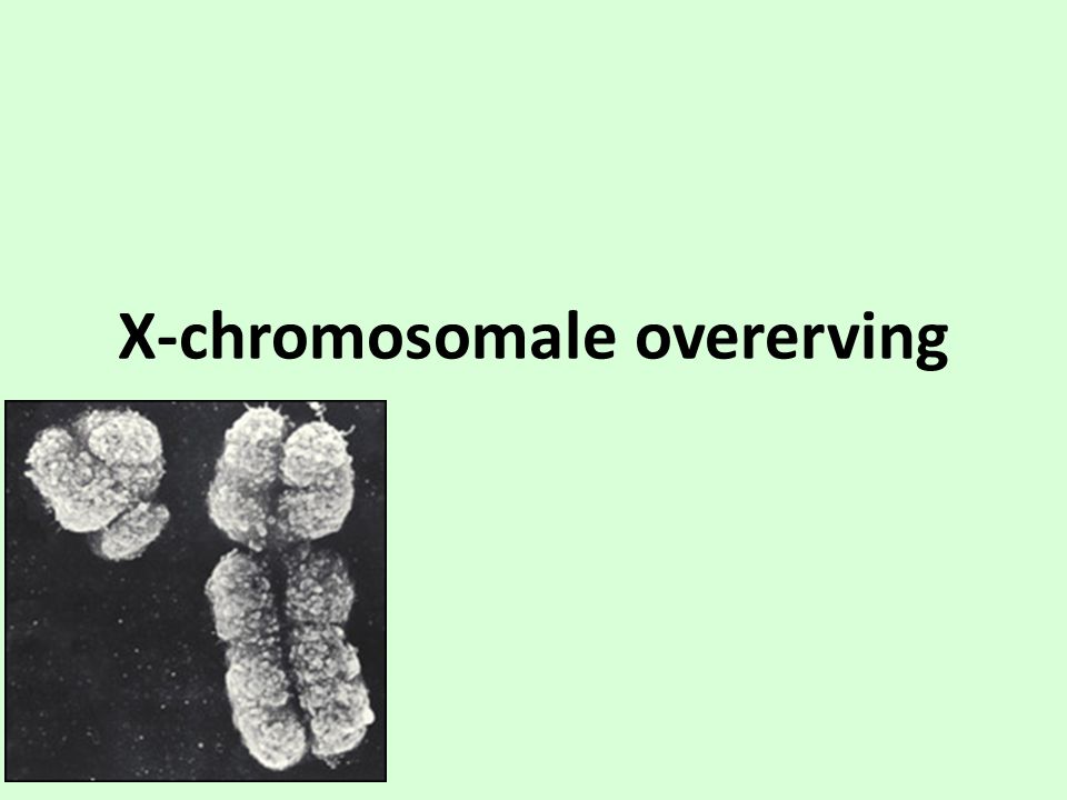 X-chromosomale overerving