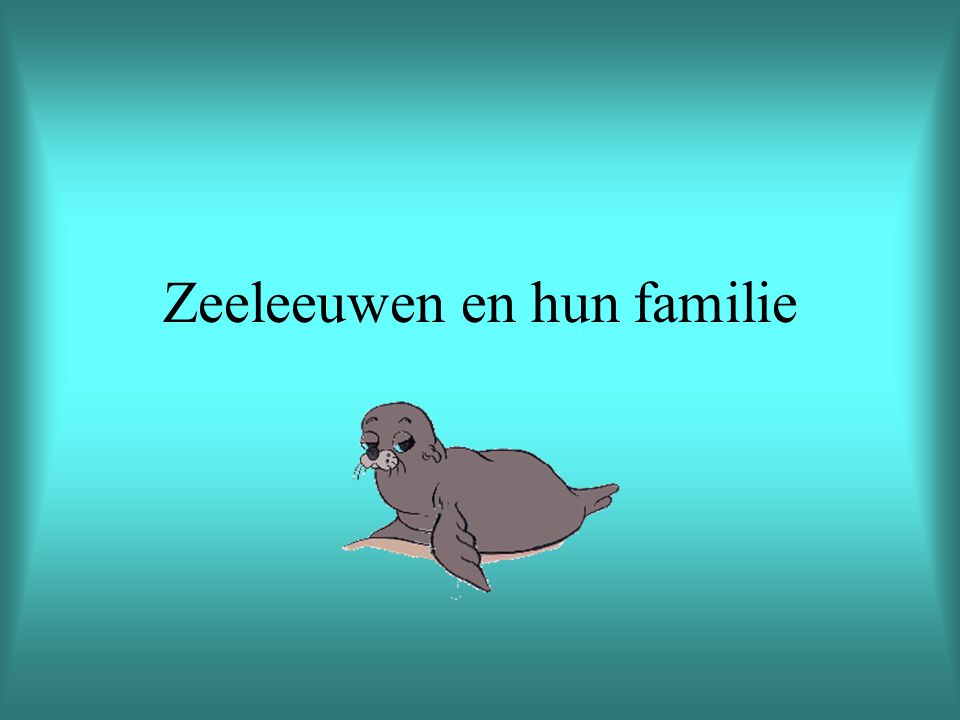 Zeeleeuwen en hun familie