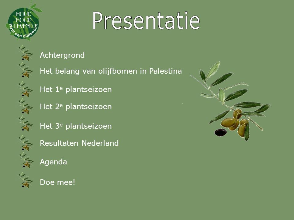 Presentatie Achtergrond Het belang van olijfbomen in Palestina