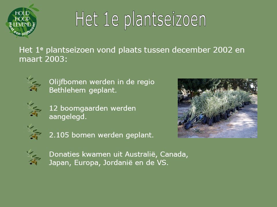 Het 1e plantseizoen Het 1e plantseizoen vond plaats tussen december 2002 en maart 2003: Olijfbomen werden in de regio Bethlehem geplant.