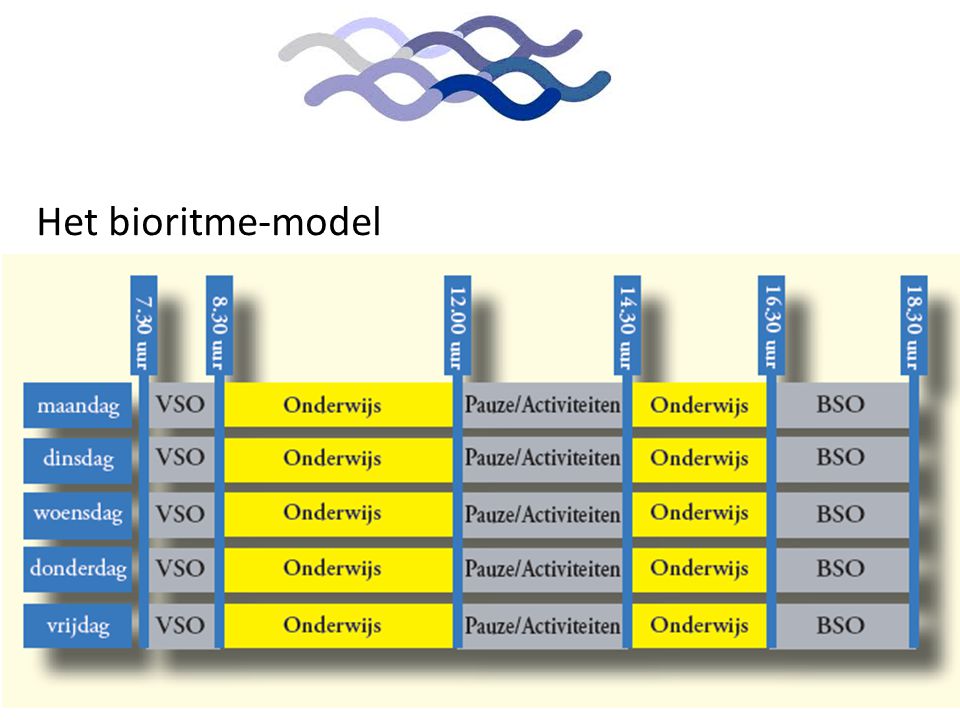 Het bioritme-model