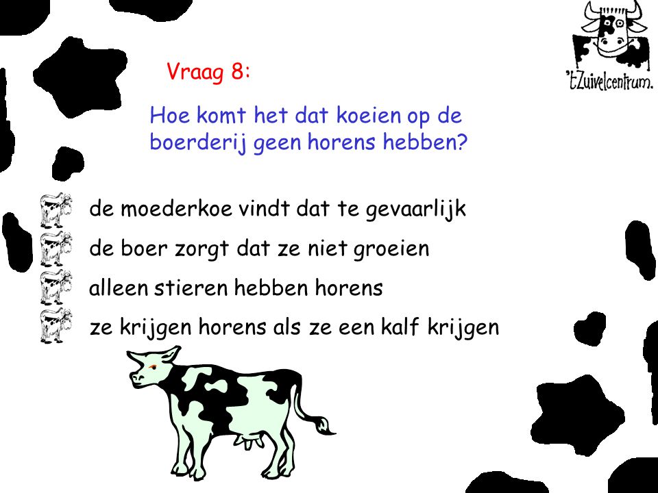 Vraag 8: Hoe komt het dat koeien op de boerderij geen horens hebben de moederkoe vindt dat te gevaarlijk.