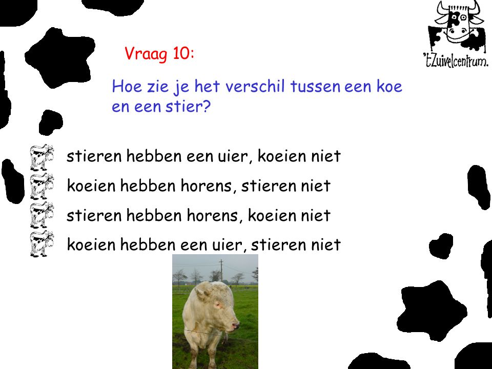 Vraag 10: Hoe zie je het verschil tussen een koe en een stier stieren hebben een uier, koeien niet.