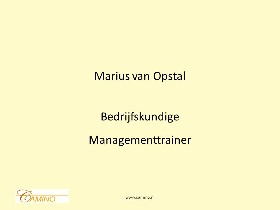 Marius van Opstal Bedrijfskundige Managementtrainer