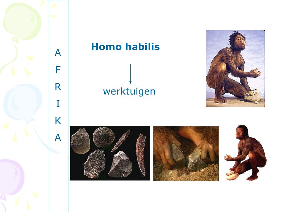 A F R I K Homo habilis werktuigen
