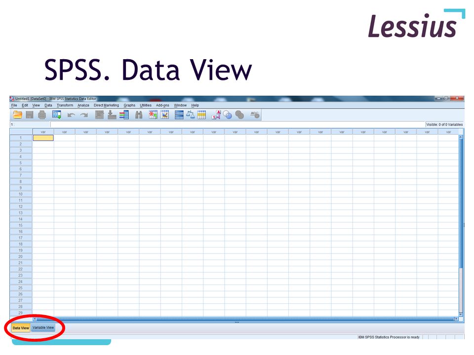 SPSS. Data View