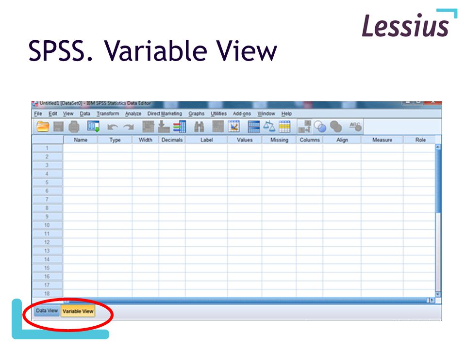 SPSS. Variable View