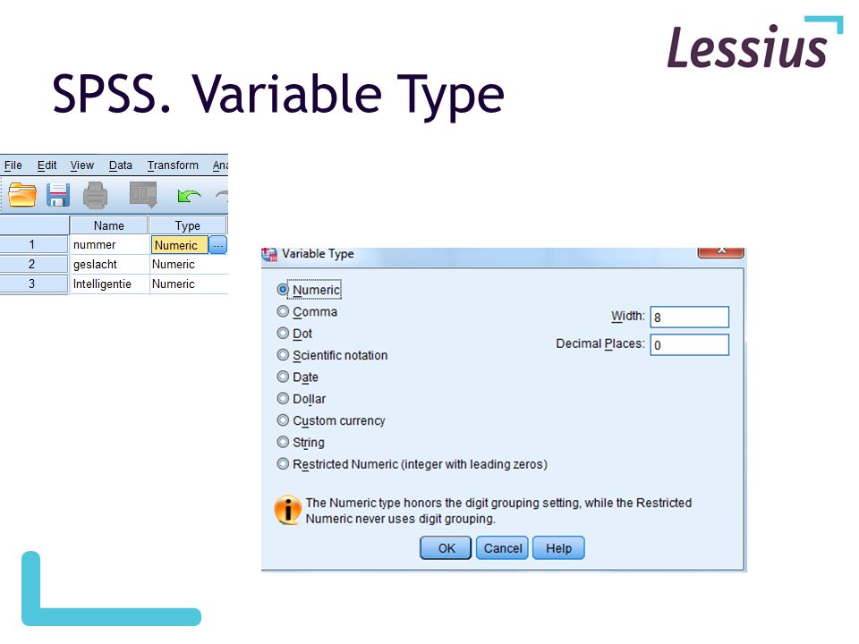 SPSS. Variable Type