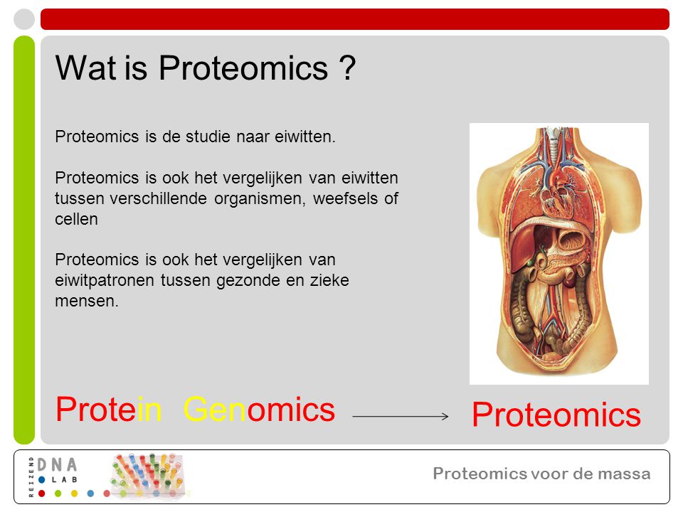 Proteomics voor de massa