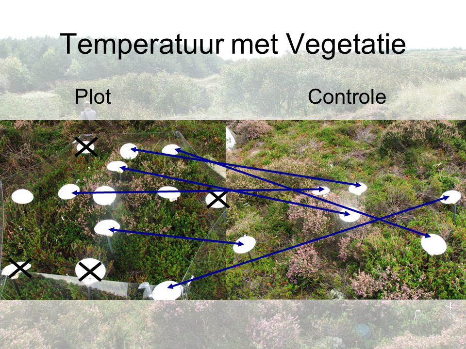 Temperatuur met Vegetatie