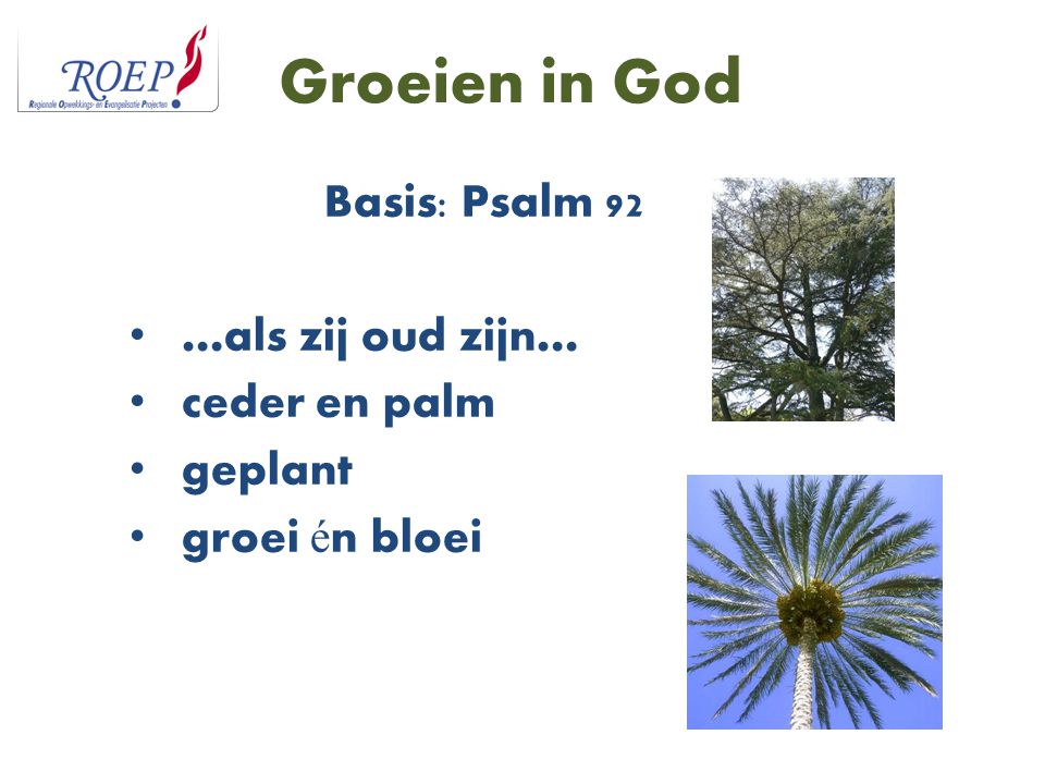 Groeien in God Basis: Psalm 92 …als zij oud zijn… ceder en palm