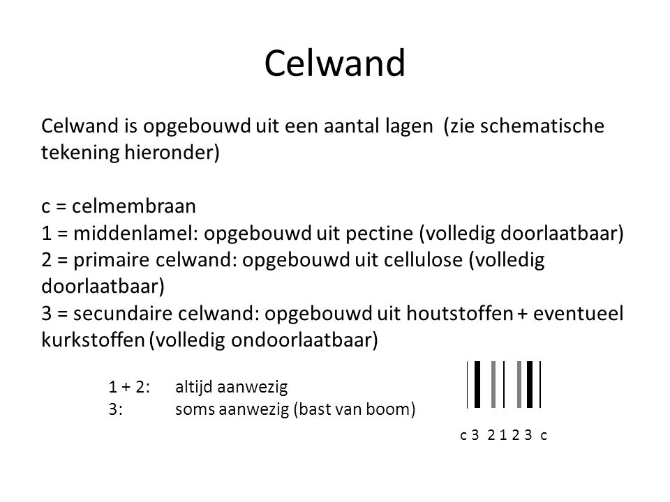 Celwand Celwand is opgebouwd uit een aantal lagen (zie schematische tekening hieronder) c = celmembraan.