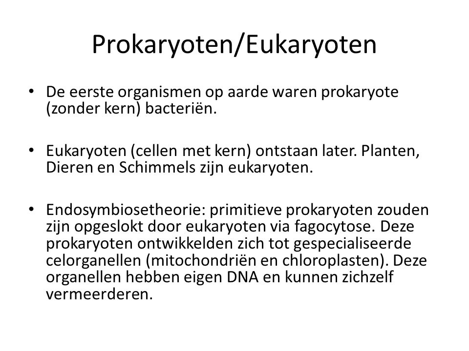 Prokaryoten/Eukaryoten