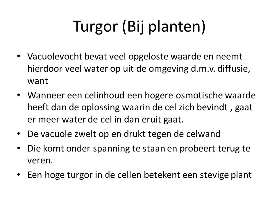 Turgor (Bij planten) Vacuolevocht bevat veel opgeloste waarde en neemt hierdoor veel water op uit de omgeving d.m.v. diffusie, want.