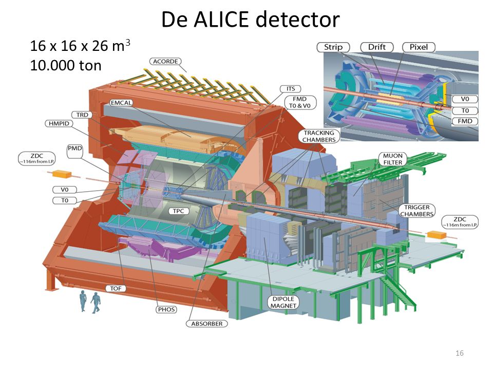 De ALICE detector 16 x 16 x 26 m ton